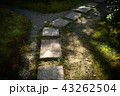 光の当たる石畳 43262504