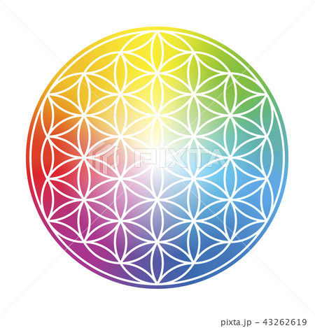 Flower Of Life Colorful Circular Rainbow Gradient Flower Of Life Colorful Circular Rainbow Gradient 43262619