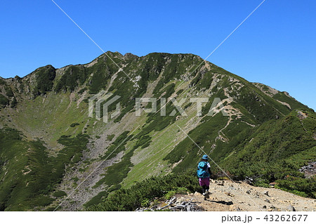仙丈ヶ岳　小仙丈沢カール 43262677