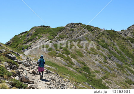 仙丈ヶ岳 山頂 仙丈ヶ岳 山頂 43262681