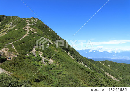仙丈ヶ岳 43262686