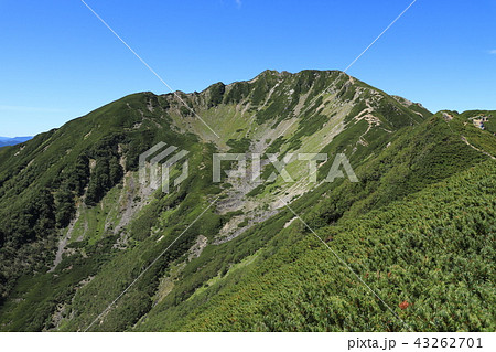 仙丈ヶ岳　小仙丈沢カール 43262701