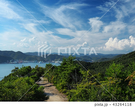 夏の相生湾の風景 43264118