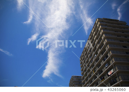 初夏の青空 初夏の青空 43265060