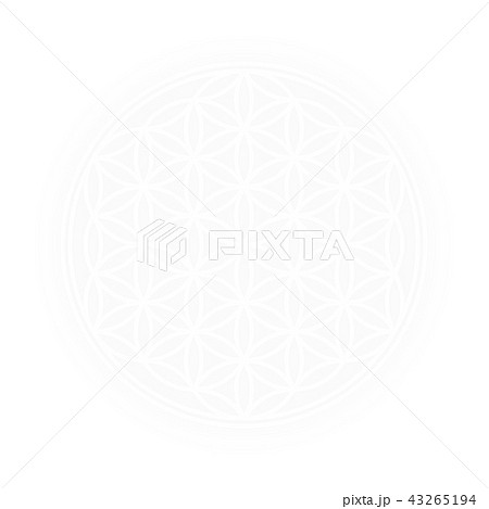 White Flower Of Life Bright Light 43265194