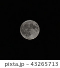 満月（月齢14.7) 43265713