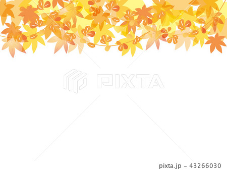 紅葉 リング 43266030