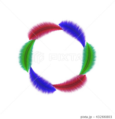 Colorful feathers. Circle frame. Isolated on white Colorful feathers. Circle frame. Isolated on white 43266803