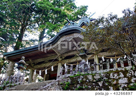 熊野三山・奥の宮　玉置神社　御本殿 （奈良県 吉野郡 十津川村 ） 43266897