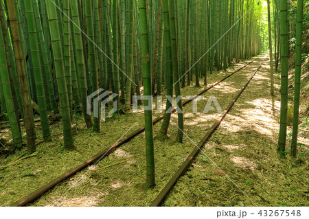 旧国鉄倉吉線、廃線跡 43267548