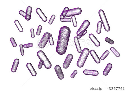 バクテリアのイラスト コンピューターグラフィック のイラスト素材