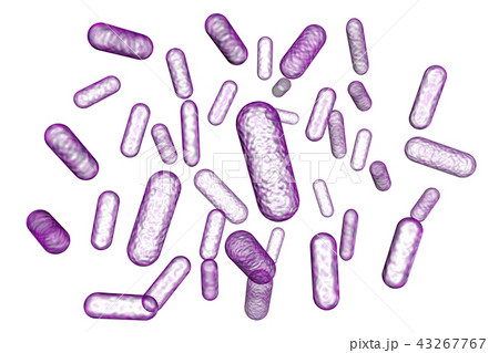 バクテリアのイラスト コンピューターグラフィック のイラスト素材