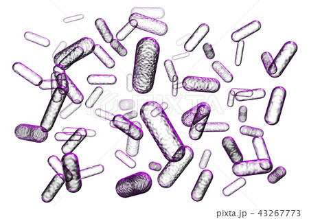 バクテリアのイラスト(コンピューターグラフィック) バクテリアのイラスト(コンピューターグラフィック) 43267773