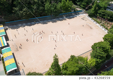 学校 運動場 校正 43268559