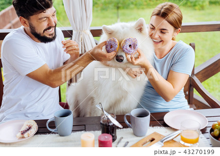 Man and woman laughing while having fun with their dog 43270199