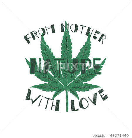 From mother nature with love poster. Canada legalize concept. With marijuana weed leaf. Cannabis 43271440
