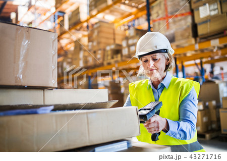 Senior warehouse woman worker working with barcode scanner. Senior warehouse woman worker working with barcode scanner. 43271716