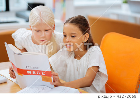 Good friend studying Chinese together at home Good friend studying Chinese together at home 43272069
