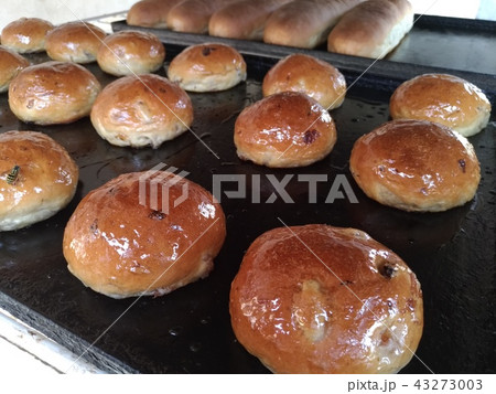 Fresh pastry, round buns on a roasting pan Fresh pastry, round buns on a roasting pan 43273003