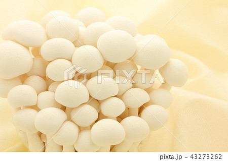 白ぶなしめじ 43273262