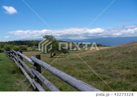 【長野県】夏の高ボッチ高原の牧場、松本盆地 43273328