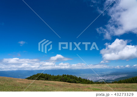 【長野県】夏の高ボッチ高原の牧場、松本盆地 43273329