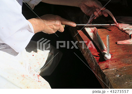 うなぎ うなぎ 43273557