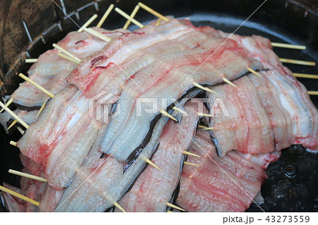 うなぎ うなぎ 43273559