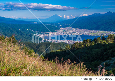 （長野県）夏の高ボッチ高原から眺める富士山 43273655