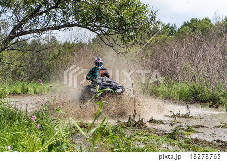 ATV Quad rides fast on big dirt and makes splashes of dirty water 43273765