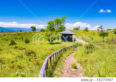 【長野県】夏の高ボッチ高原 43273997