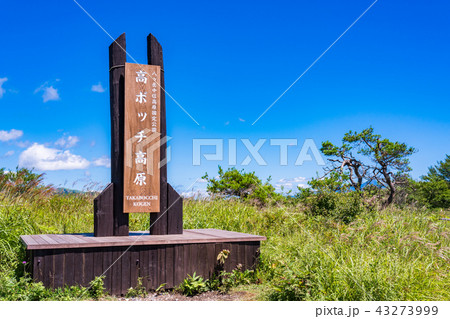 【長野県】夏の高ボッチ高原 【長野県】夏の高ボッチ高原 43273999
