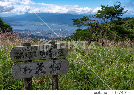 【長野県】夏の高ボッチ高原から諏訪湖を望む 【長野県】夏の高ボッチ高原から諏訪湖を望む 43274012