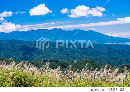 【長野県】夏の高ボッチ高原から望む八ヶ岳 43274024