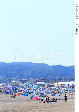 夏の湘南海岸海水浴場 43274237