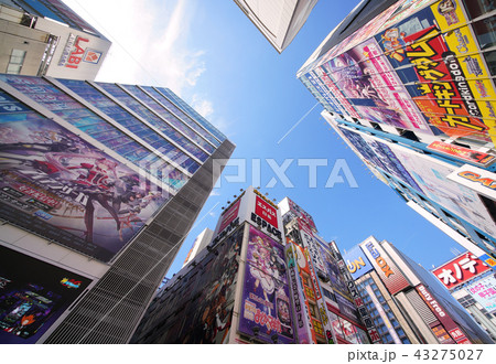 日本の東京都市景観 東京・秋葉原の街並みを望む 日本の東京都市景観 東京・秋葉原の街並みを望む 43275027