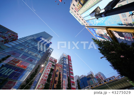 日本の東京都市景観　東京・秋葉原の街並みを望む 43275029