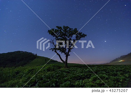 江原道 韓国 屋外 43275207