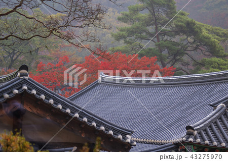 全羅南道 韓国 屋外 43275970