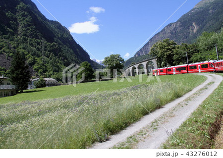 ブルージオ橋に向かうベルニナ特急 43276012