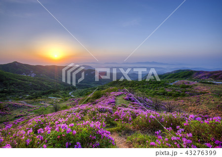 慶南 韓国 屋外 43276399