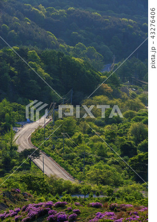 慶南 韓国 屋外 43276406