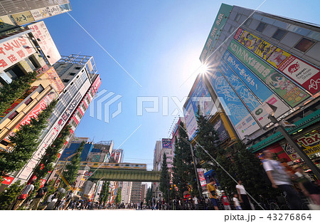 日本の東京都市景観　東京・秋葉原の街並みを望む（歩行者天国） 43276864