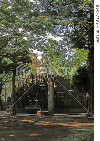 道場寺 道場寺 43277548