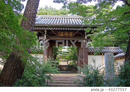 道場寺 43277557