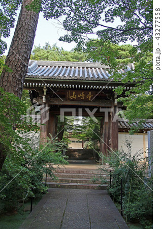 道場寺 道場寺 43277558