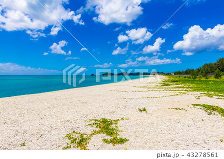 沖縄の海 沖縄の海 43278561