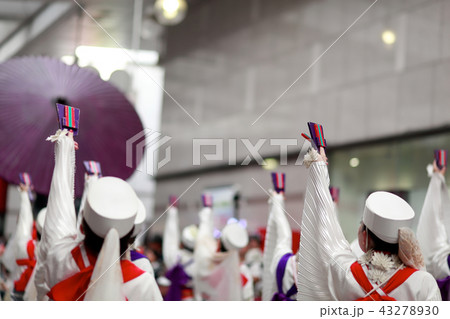 よさこい よさこい 43278930
