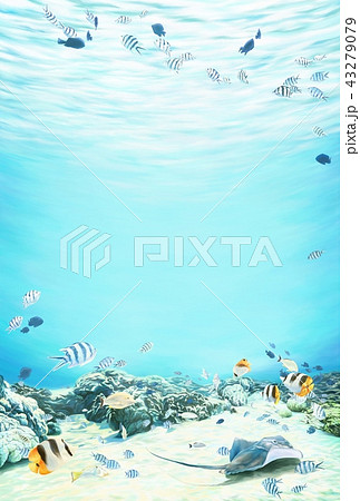 南国の海の中 イラストのイラスト素材 43279079 Pixta