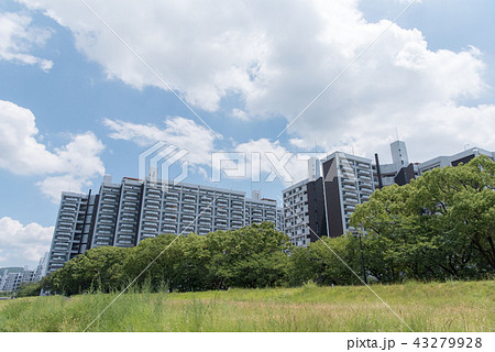 広島市営基町高層アパート 43279928